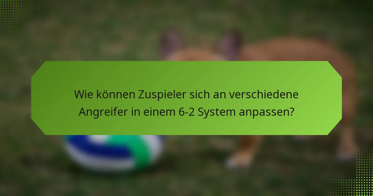 Wie können Zuspieler sich an verschiedene Angreifer in einem 6-2 System anpassen?
